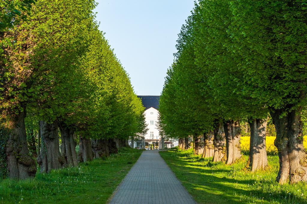 فندق Schlossgut Groß Schwansee المظهر الخارجي الصورة