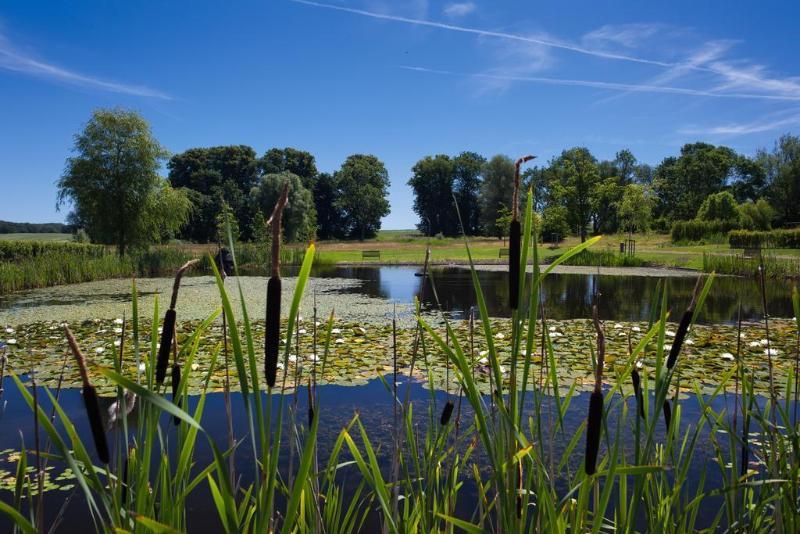 فندق Schlossgut Groß Schwansee المظهر الخارجي الصورة